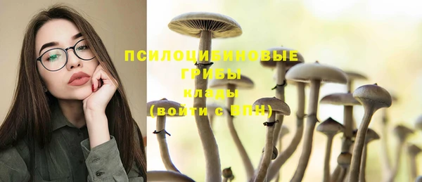 молекула духа Алексин